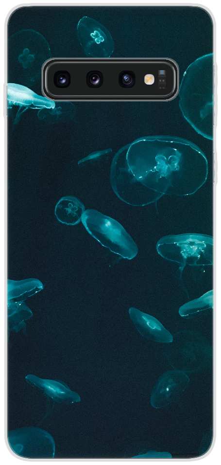 Blue and white jellyfish in water