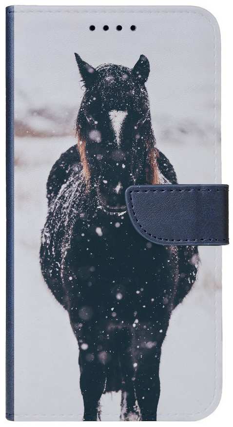 Dark horse head-on in snowy landscape