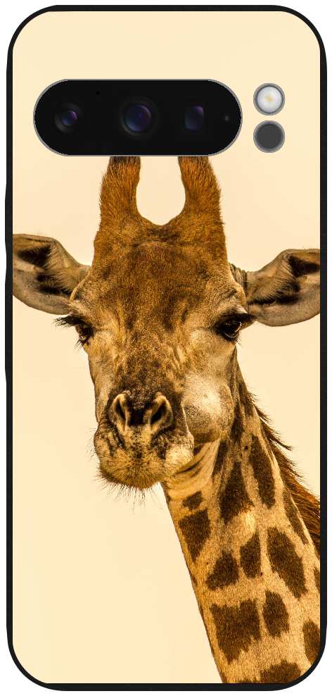 selective focus photography of giraffe