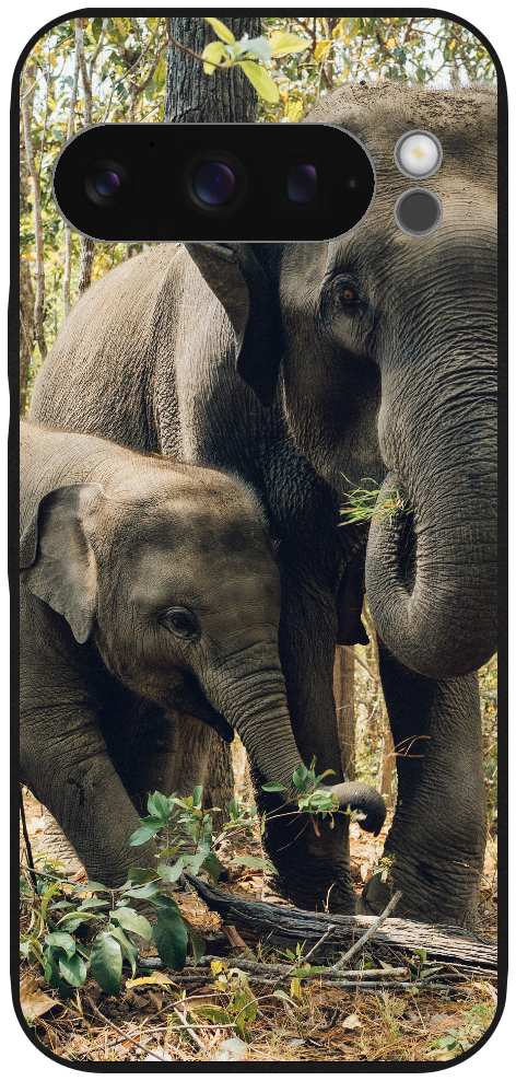two elephants near trees
