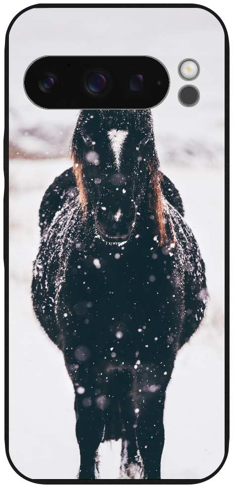 Dark horse head-on in snowy landscape