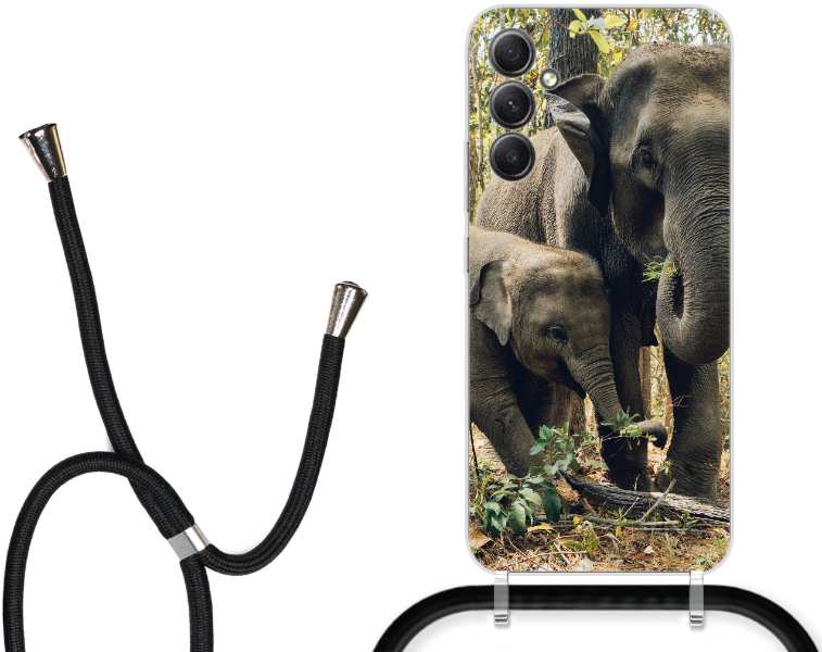 two elephants near trees