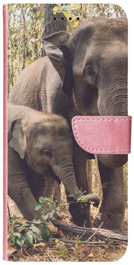 two elephants near trees