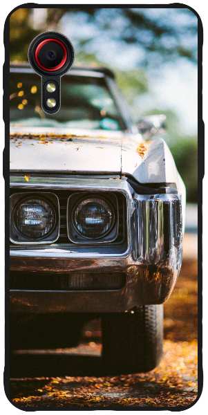 white car with leaves on hood