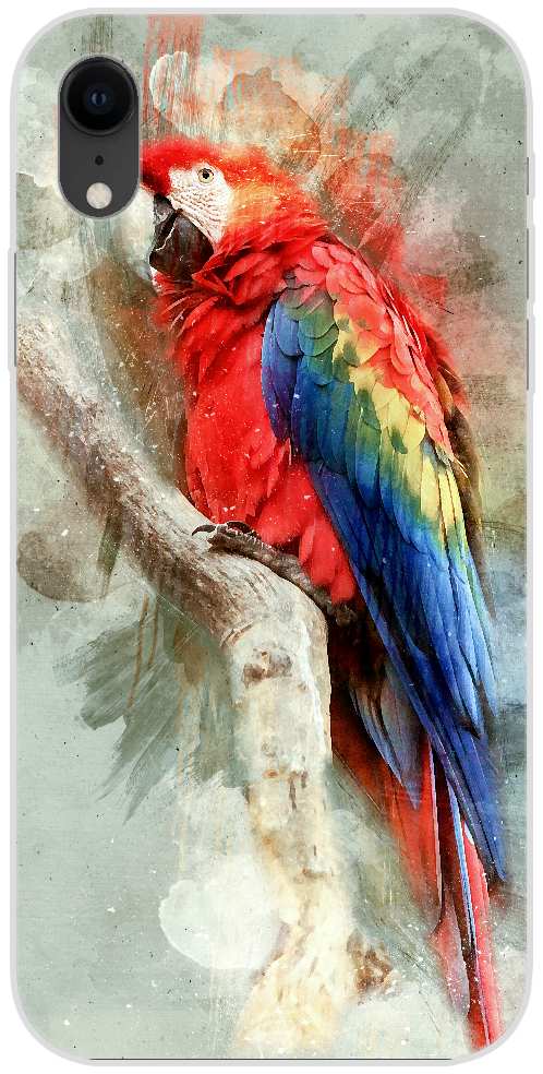 Scarlet Macaw parrot bird