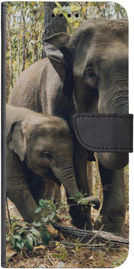 two elephants near trees