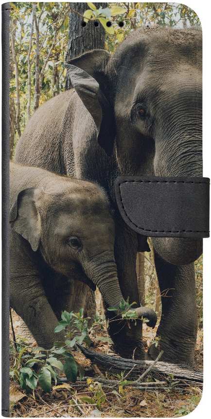 two elephants near trees