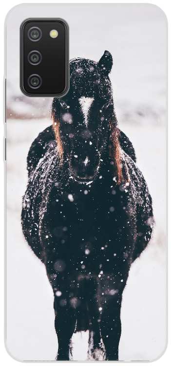 Dark horse head-on in snowy landscape