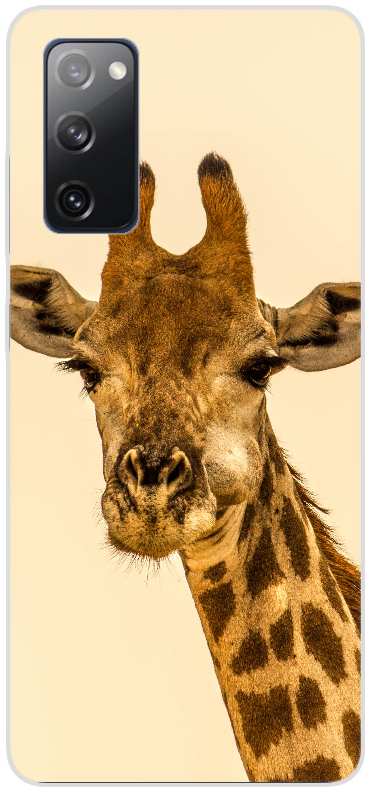 selective focus photography of giraffe