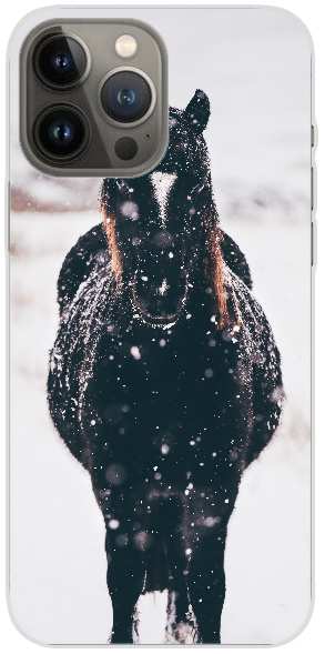 Dark horse head-on in snowy landscape