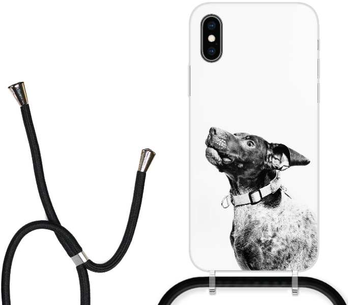 grayscale photography of dog