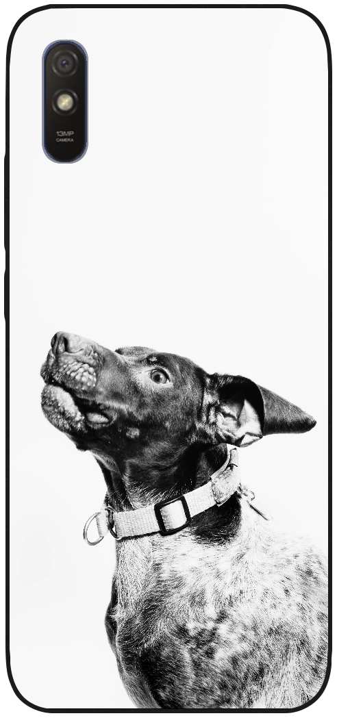 grayscale photography of dog