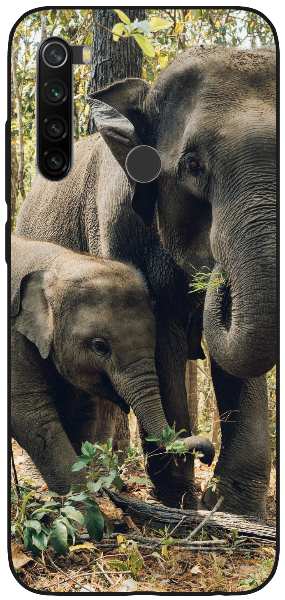 two elephants near trees