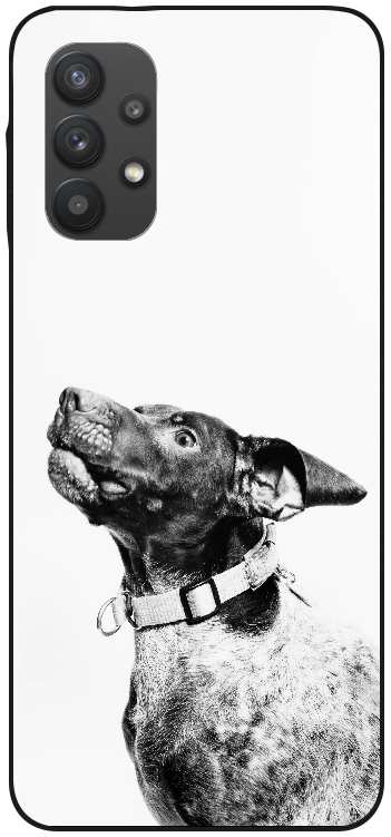 grayscale photography of dog