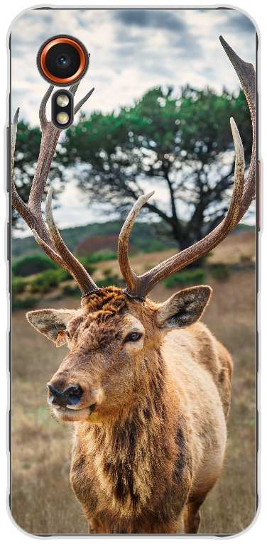 deer on brown grass field under gray cloudy sky