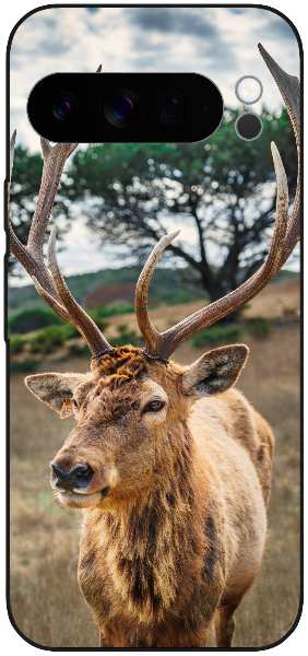 deer on brown grass field under gray cloudy sky