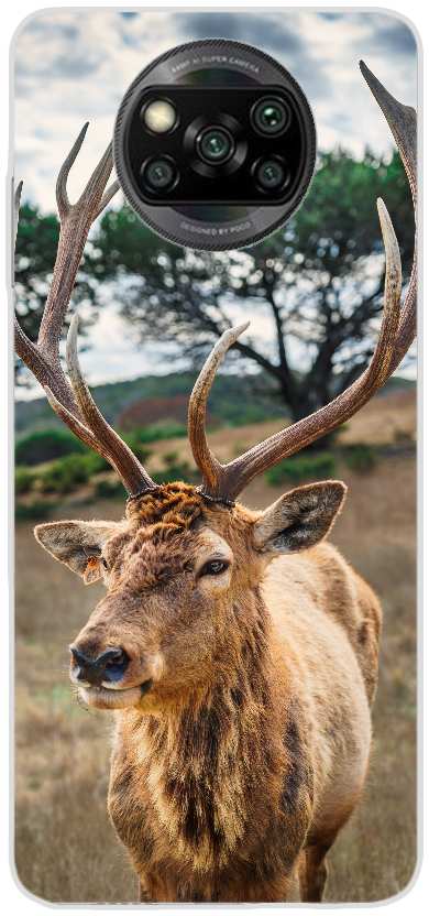 deer on brown grass field under gray cloudy sky