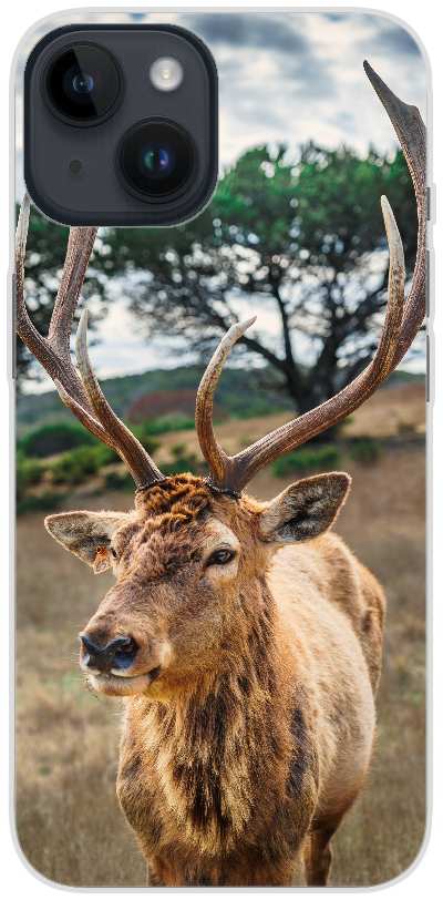deer on brown grass field under gray cloudy sky