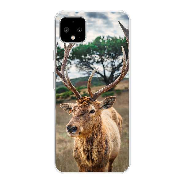 deer on brown grass field under gray cloudy sky