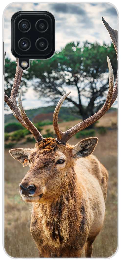 deer on brown grass field under gray cloudy sky