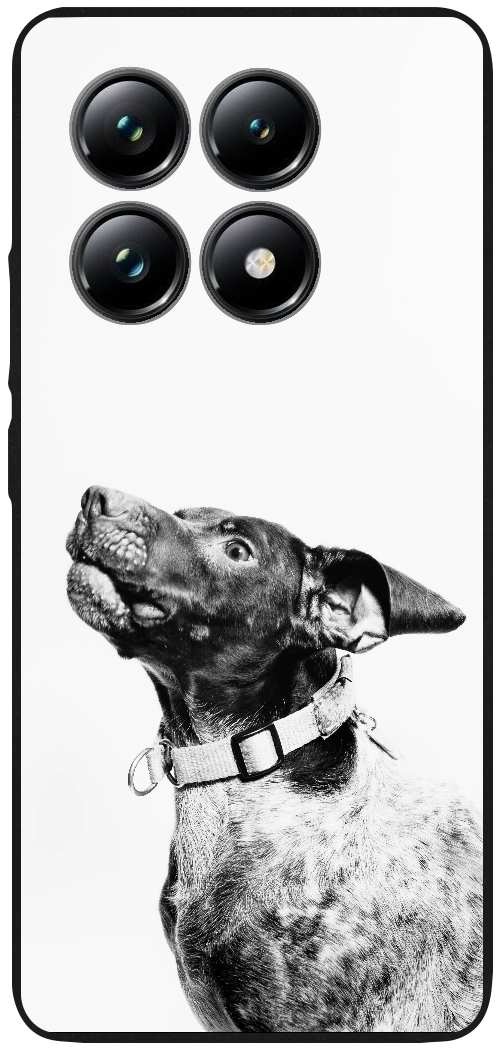 grayscale photography of dog