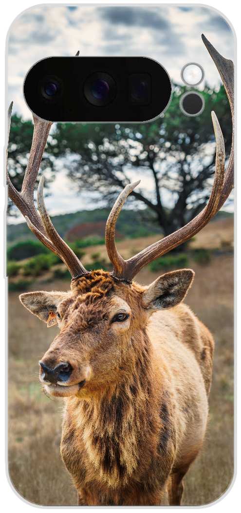deer on brown grass field under gray cloudy sky