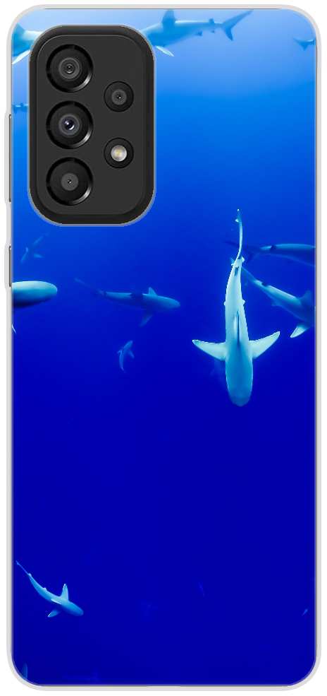 group of sharks under body of water