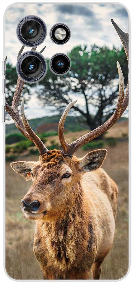 deer on brown grass field under gray cloudy sky