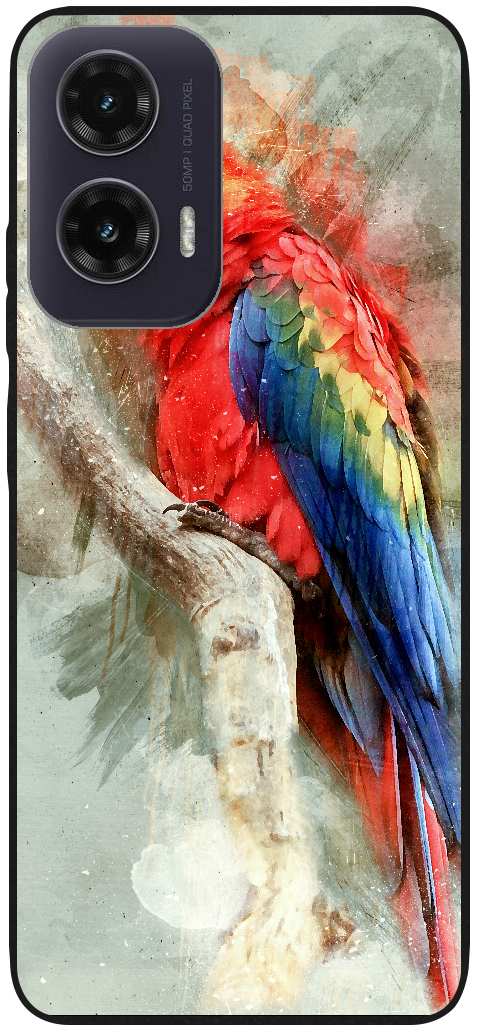 Scarlet Macaw parrot bird
