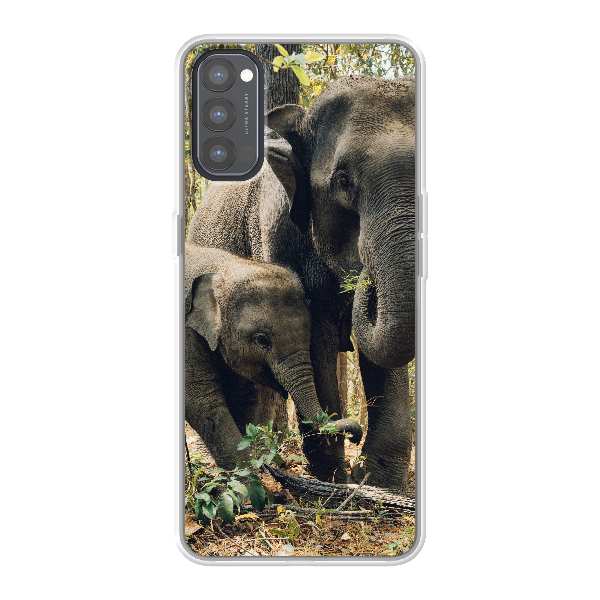 two elephants near trees