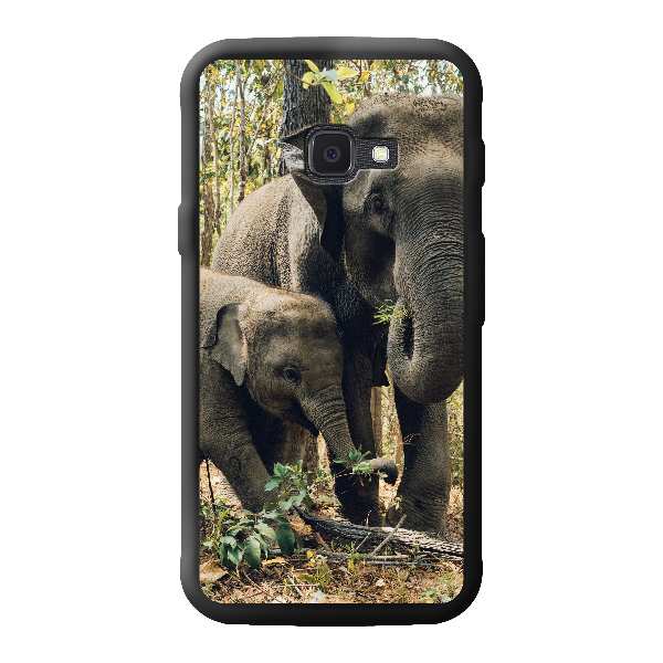two elephants near trees