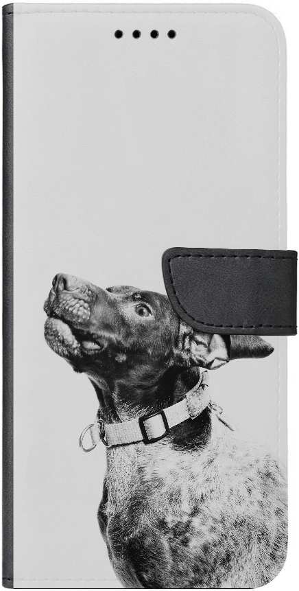 grayscale photography of dog
