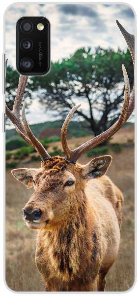 deer on brown grass field under gray cloudy sky