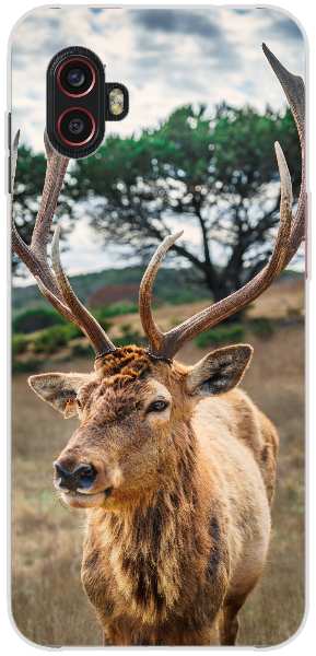 deer on brown grass field under gray cloudy sky
