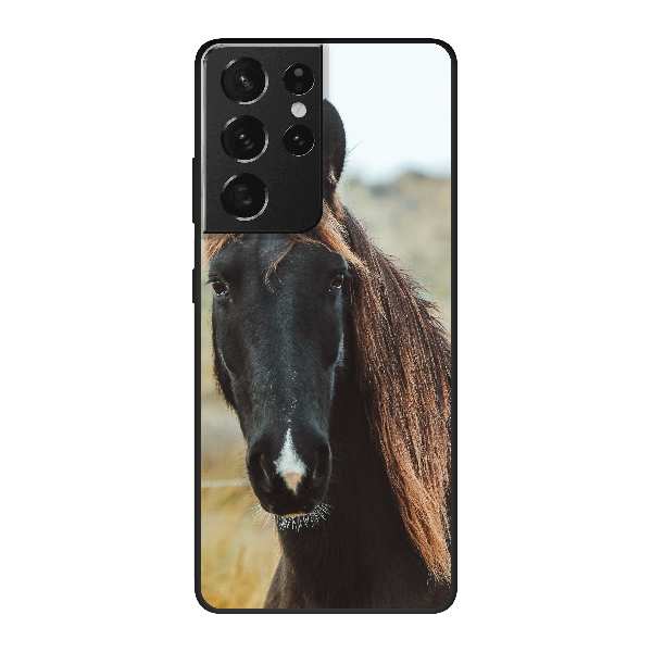 Dark brown horse on rough pasture