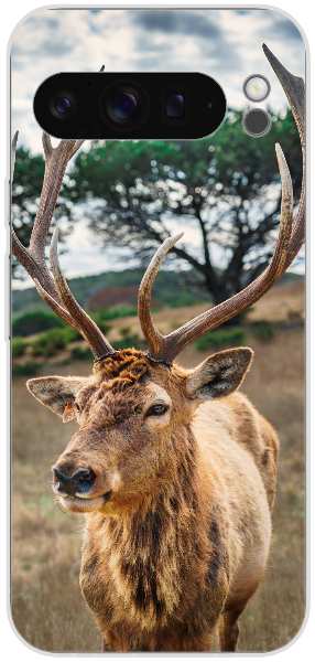 deer on brown grass field under gray cloudy sky
