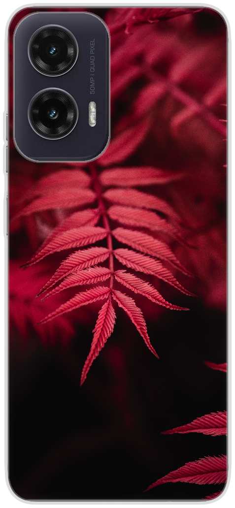 red leaves in close up photography