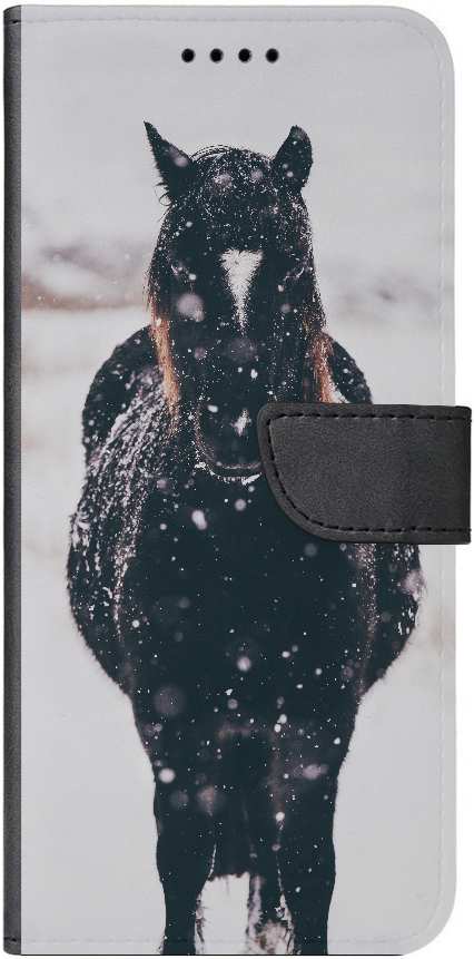 Dark horse head-on in snowy landscape